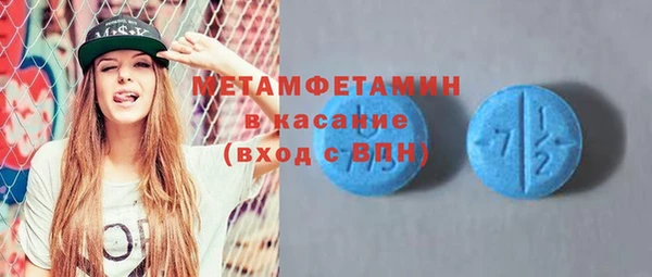 индика Богородск