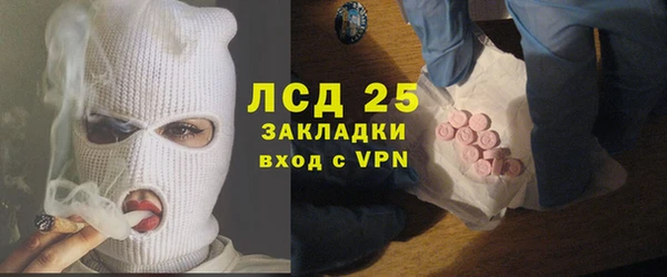 индика Богородск