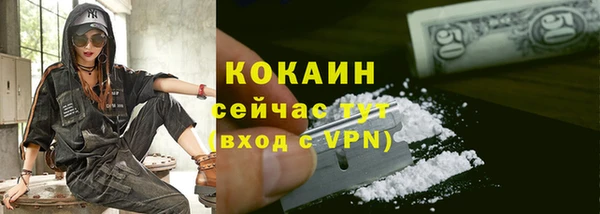 индика Богородск