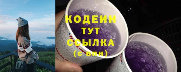 индика Богородск