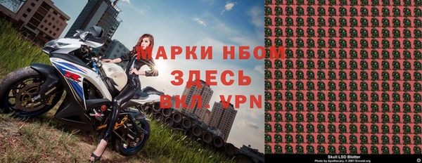индика Богородск