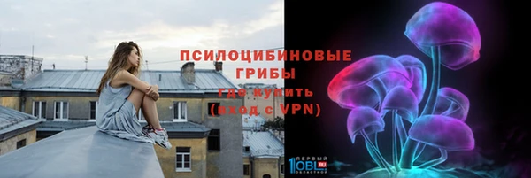 индика Богородск