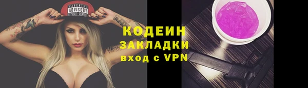 индика Богородск