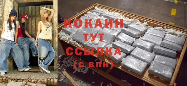 прущий лед Богданович