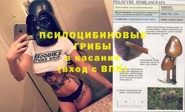 a pvp Богородицк