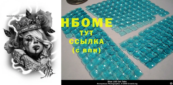 прущий лед Богданович