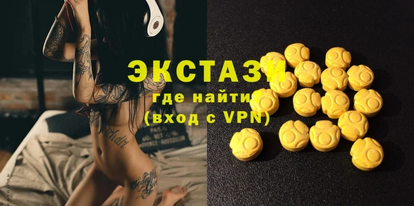 индика Богородск