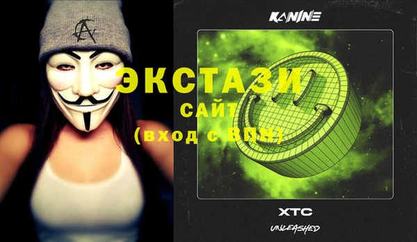 индика Богородск