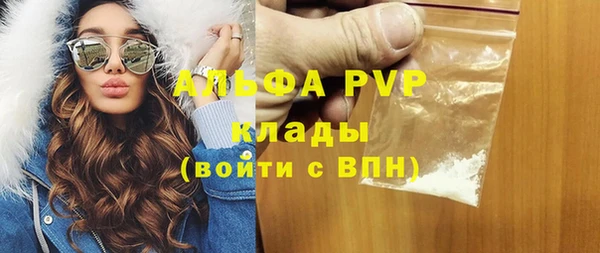 прущий лед Богданович