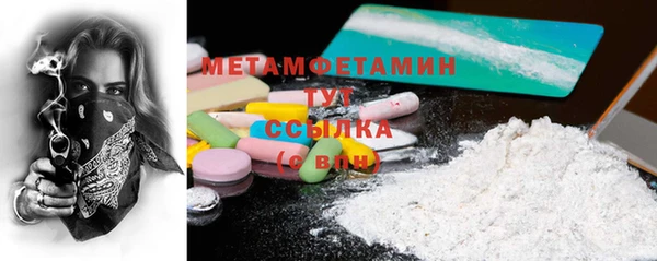 индика Богородск
