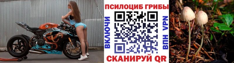 Галлюциногенные грибы Cubensis Туапсе